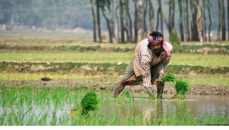 पीएम किसान योजना 21वीं किस्त जारी देखे लिस्ट