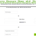 HTET Result 2025 जारी